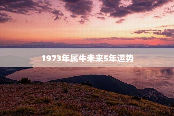 1973年属牛未来5年运势