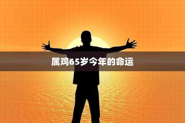 属鸡65岁今年的命运