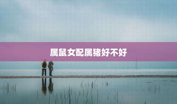 属鼠女配属猪好不好