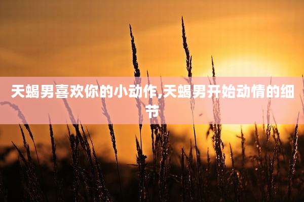 天蝎男喜欢你的小动作,天蝎男开始动情的细节