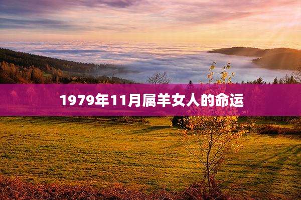 1979年11月属羊女人的命运