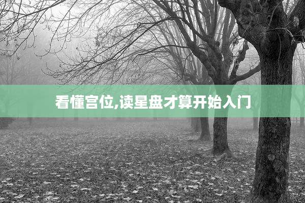 看懂宫位,读星盘才算开始入门