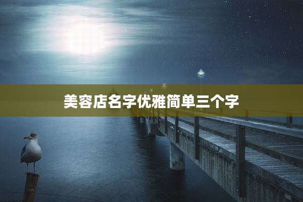 美容店名字优雅简单三个字
