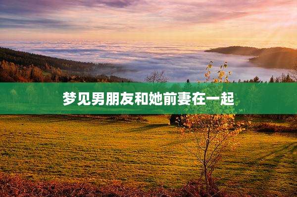 梦见男朋友和她前妻在一起