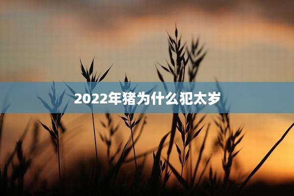 2022年猪为什么犯太岁