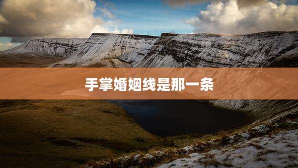 手掌婚姻线是那一条