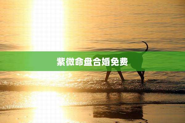 紫微命盘合婚免费