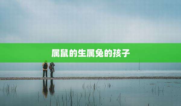 属鼠的生属兔的孩子