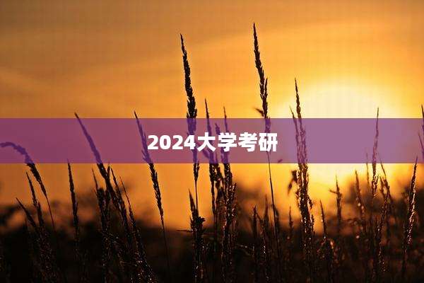2024大学考研