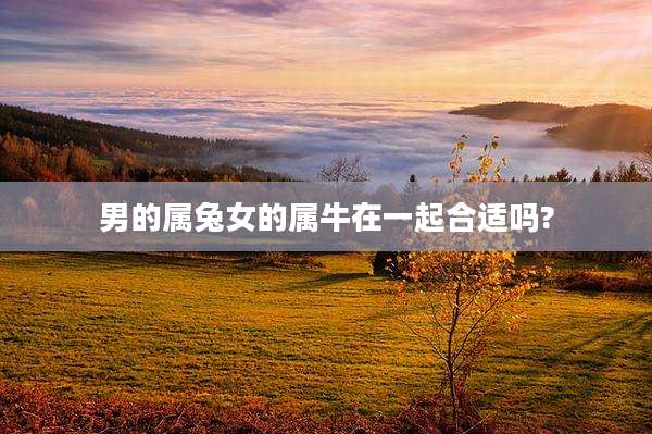 男的属兔女的属牛在一起合适吗?