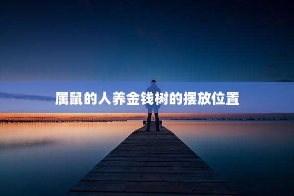 属鼠的人养金钱树的摆放位置