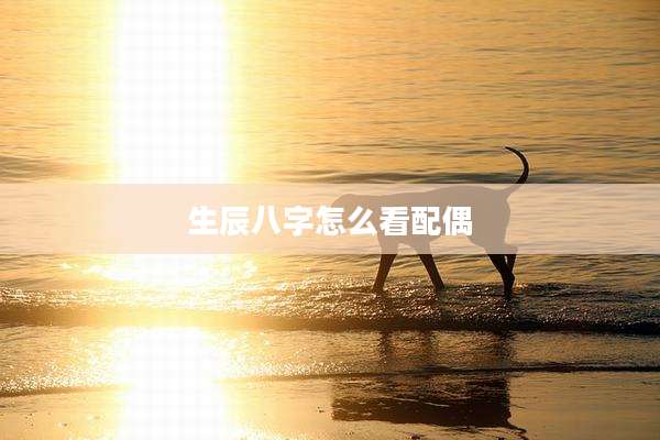 生辰八字怎么看配偶