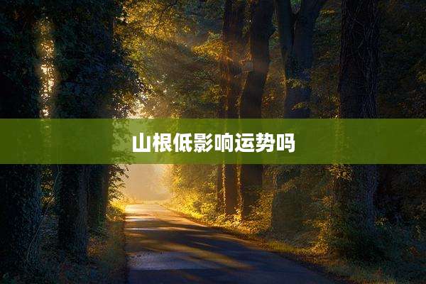 山根低影响运势吗