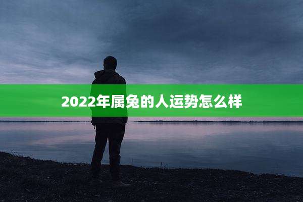 2022年属兔的人运势怎么样