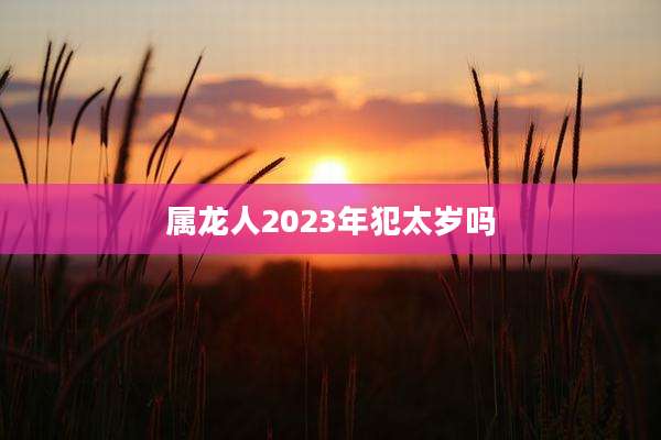 属龙人2023年犯太岁吗