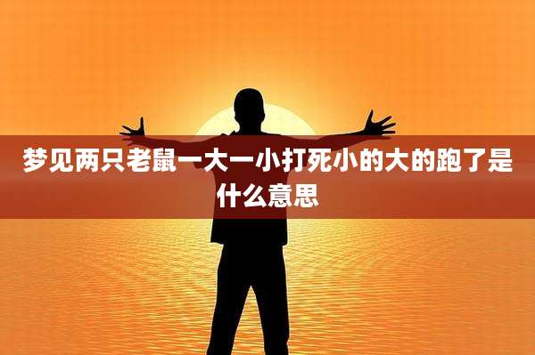 梦见两只老鼠一大一小打死小的大的跑了是什么意思