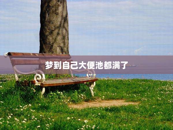梦到自己大便池都满了