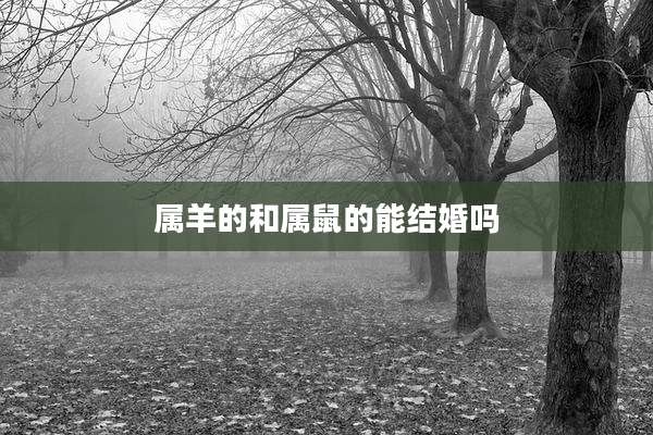 属羊的和属鼠的能结婚吗
