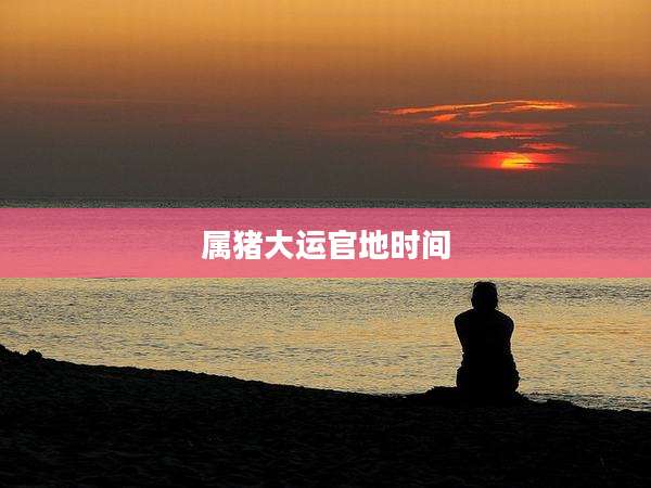 属猪大运官地时间