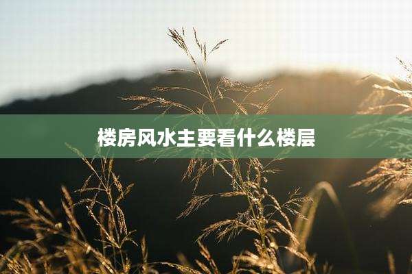 楼房风水主要看什么楼层