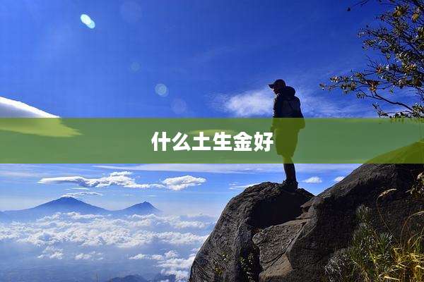 什么土生金好