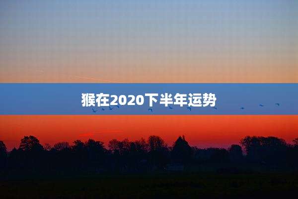 猴在2020下半年运势