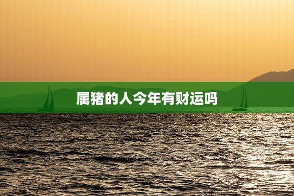 属猪的人今年有财运吗
