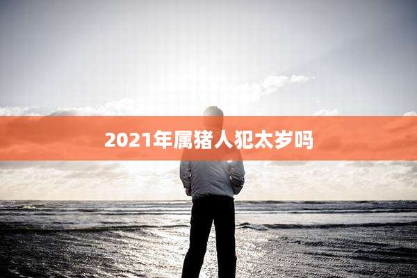 2021年属猪人犯太岁吗