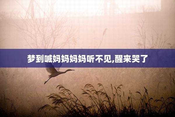 梦到喊妈妈妈妈听不见,醒来哭了