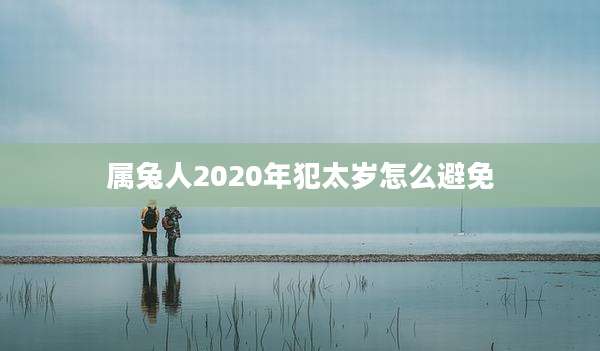 属兔人2020年犯太岁怎么避免