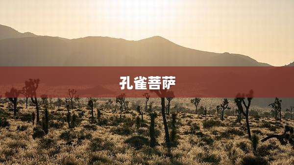 孔雀菩萨