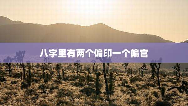 八字里有两个偏印一个偏官