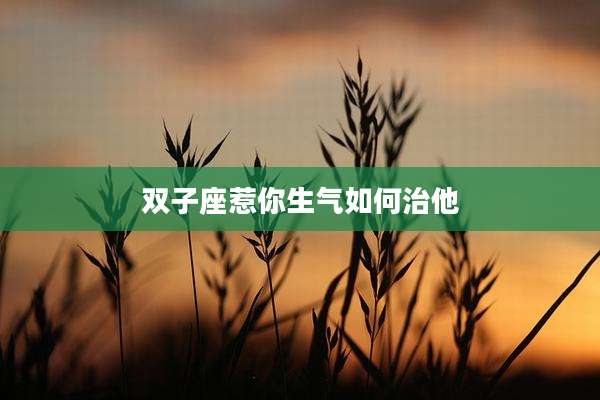 双子座惹你生气如何治他