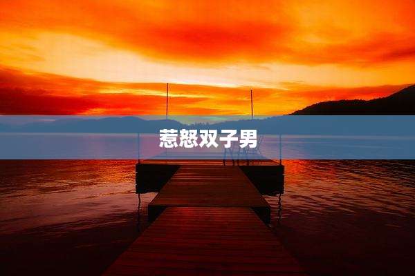 惹怒双子男