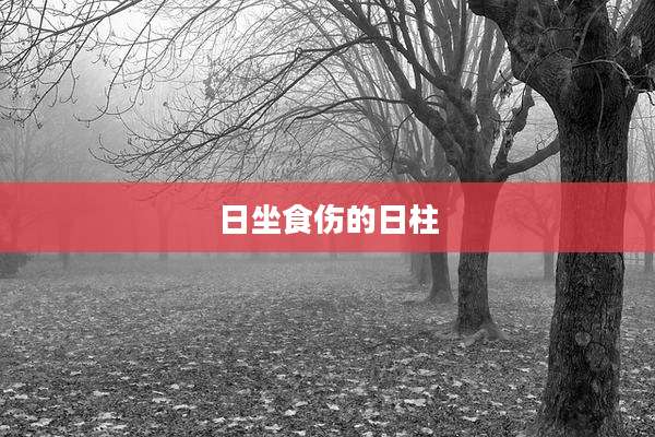 日坐食伤的日柱