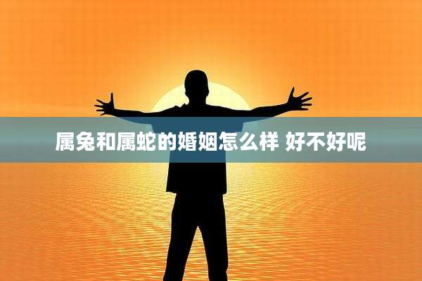 属兔和属蛇的婚姻怎么样 好不好呢