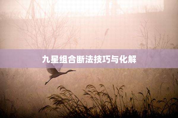 九星组合断法技巧与化解