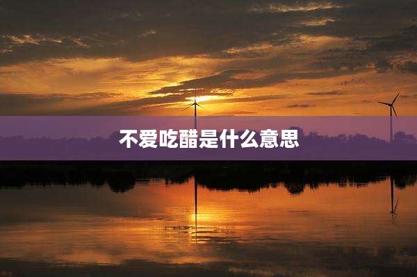 不爱吃醋是什么意思