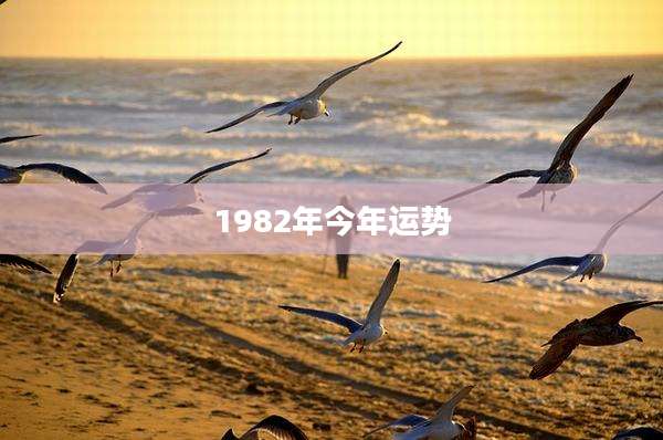 1982年今年运势