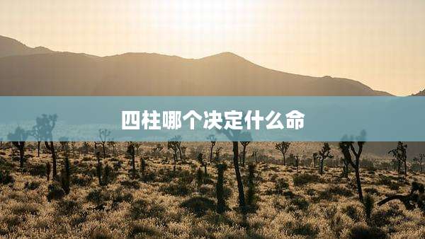 四柱哪个决定什么命