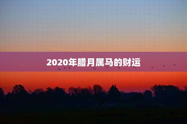 2020年腊月属马的财运