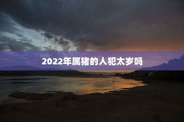 2022年属猪的人犯太岁吗