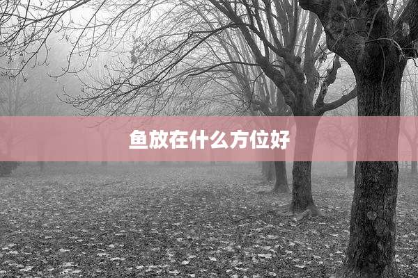 鱼放在什么方位好