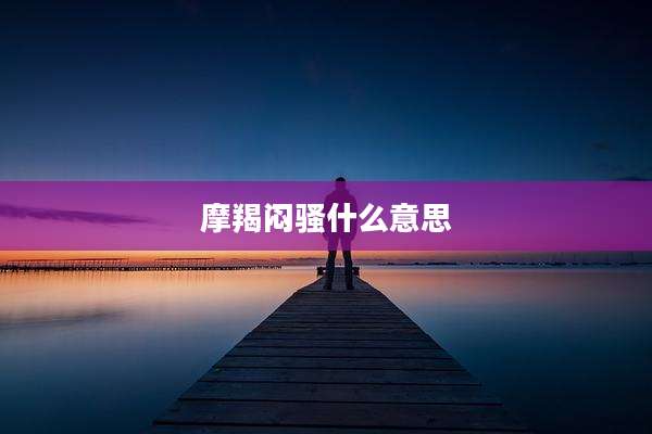摩羯闷骚什么意思