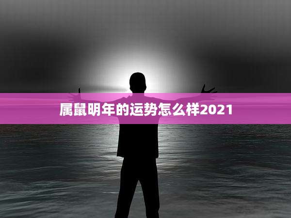 属鼠明年的运势怎么样2021