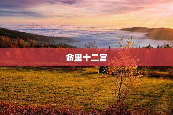 命里十二宫