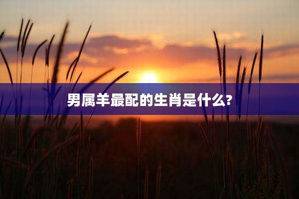 男属羊最配的生肖是什么?
