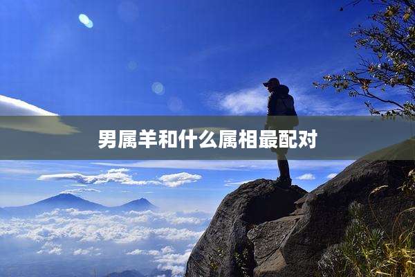 男属羊和什么属相最配对