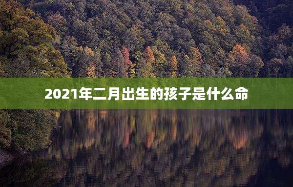 2021年二月出生的孩子是什么命