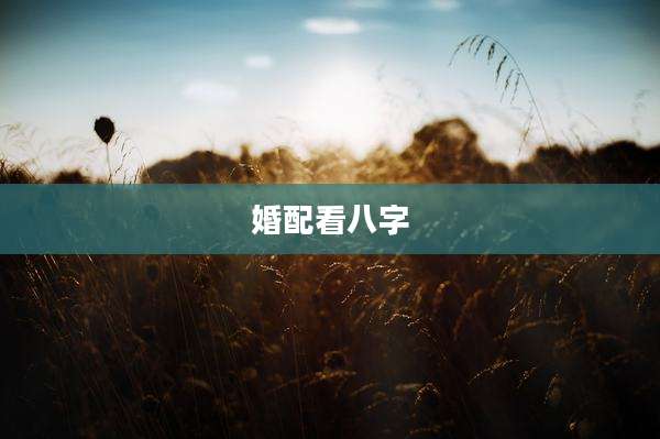 婚配看八字